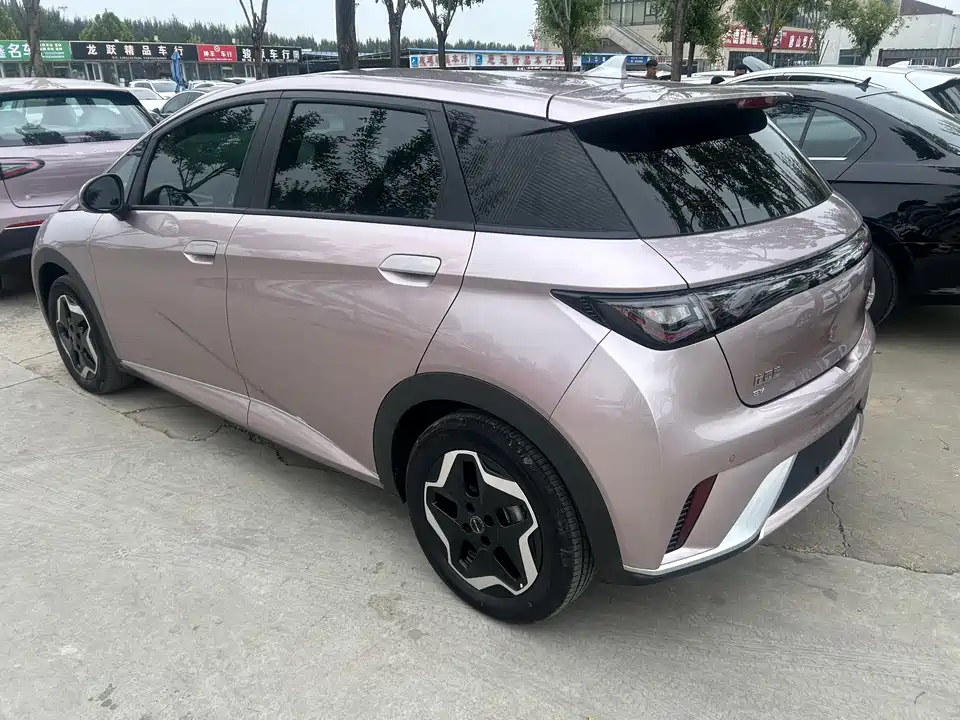 BYD dolphin
