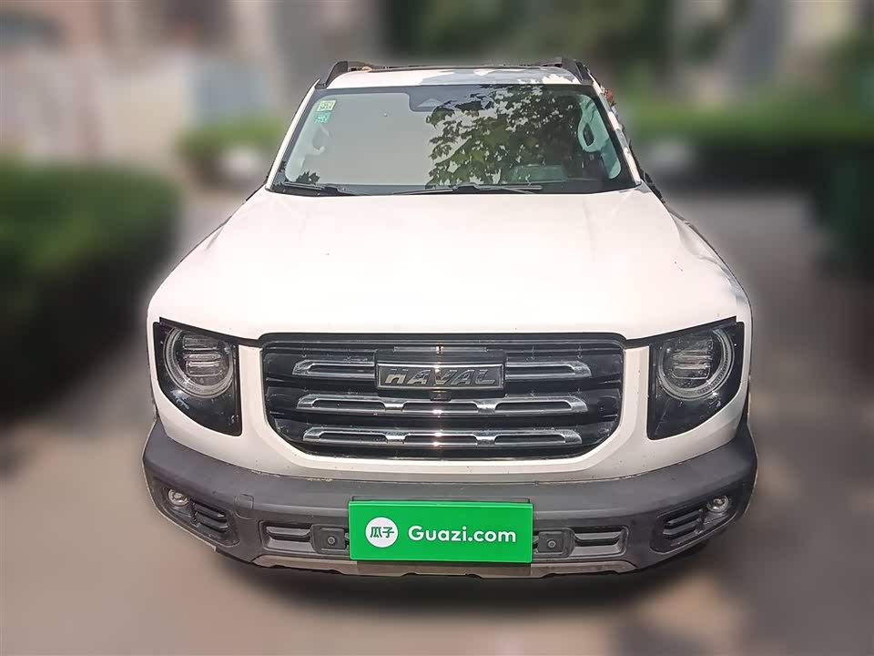 Haval Big dog