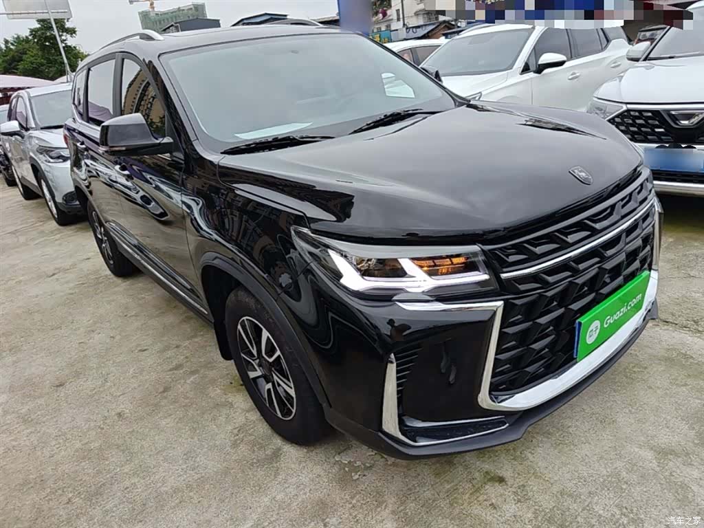 DongFeng T5, 2024 4