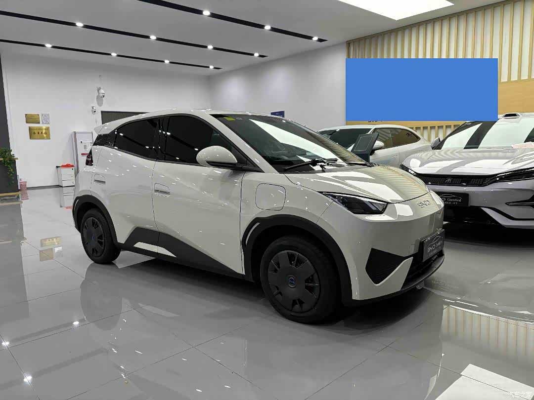 BYD Seagull, 2025 2