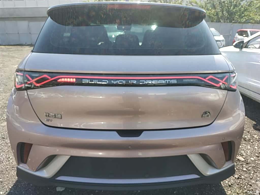 BYD Dolphin, 2022 6