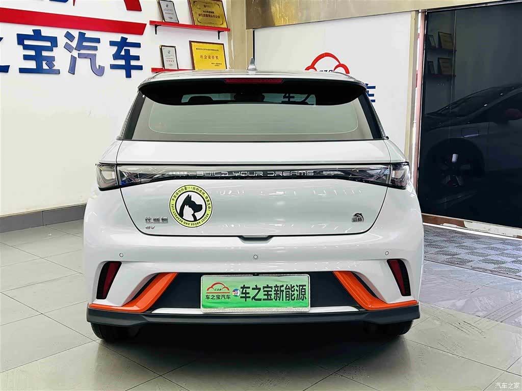 BYD Dolphin, 2023 6