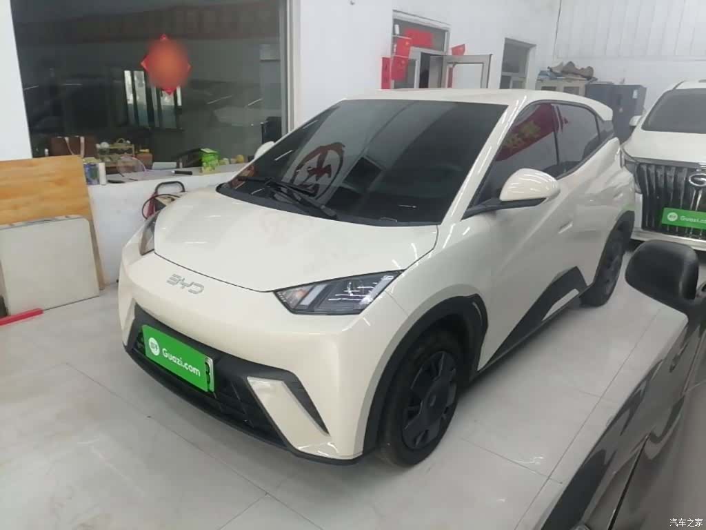 BYD Seagull, 2025 1