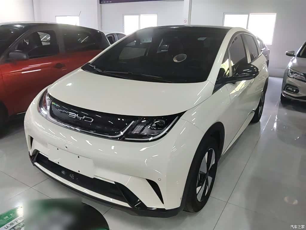 BYD Dolphin, 2024 2
