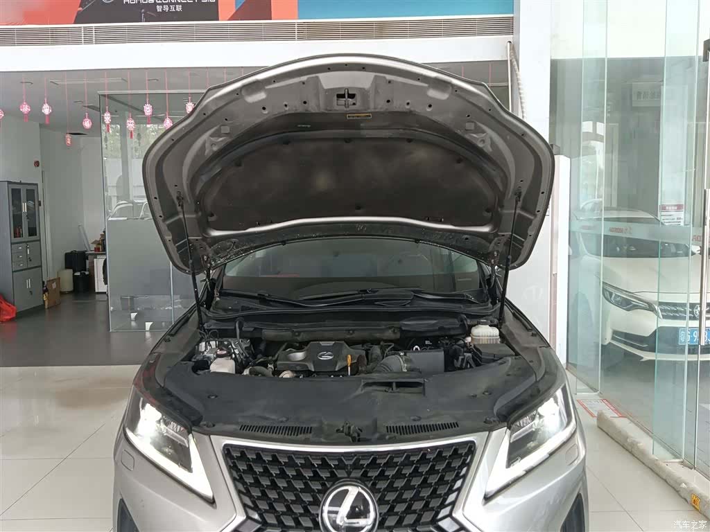 Lexus RX, 2022 16