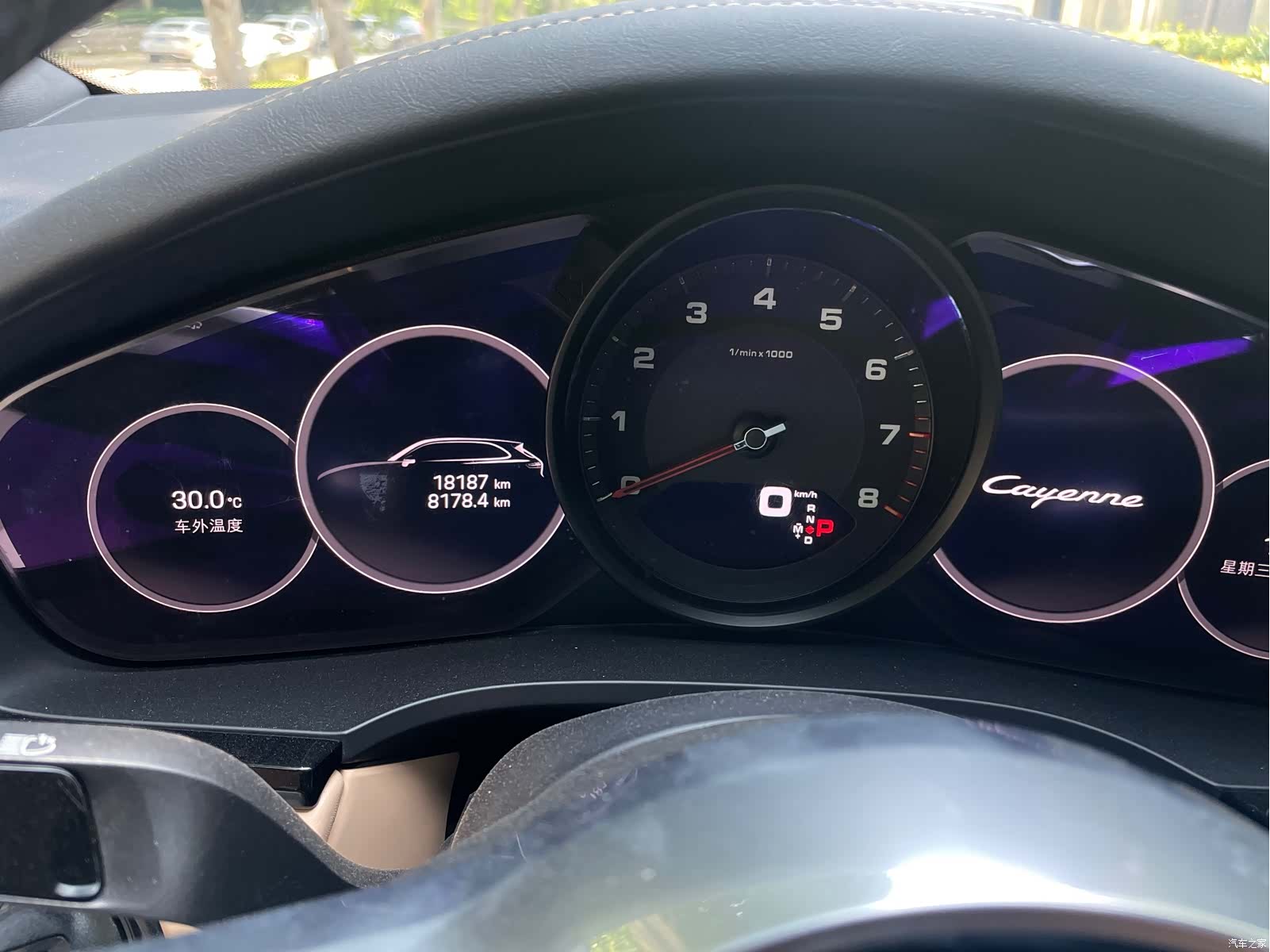 Porsche Cayenne, 2022 все фото
