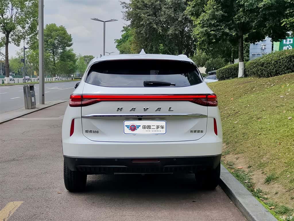 Haval H6, 2024 все фото