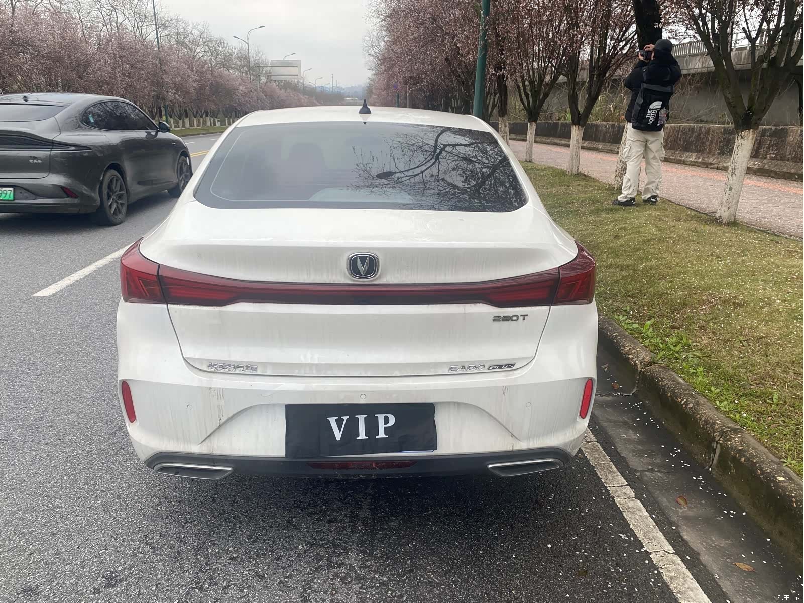 Changan Eado, 2021 8