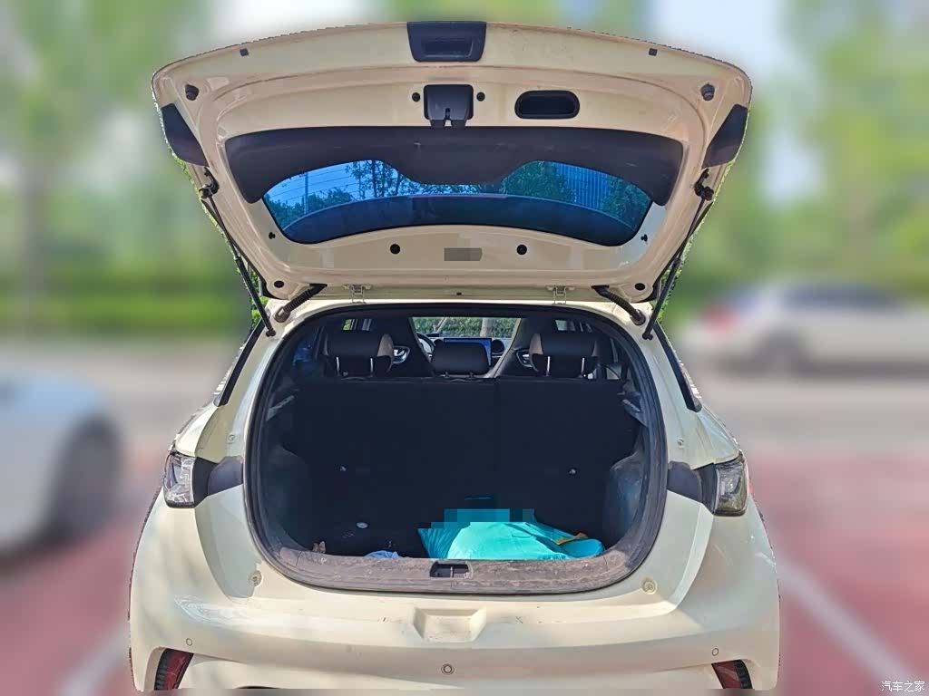 BYD Dolphin, 2024 10