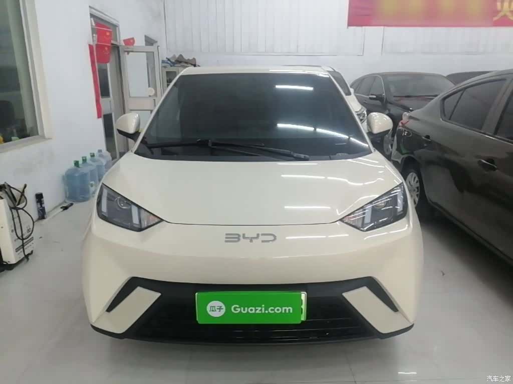 BYD Seagull, 2025 3