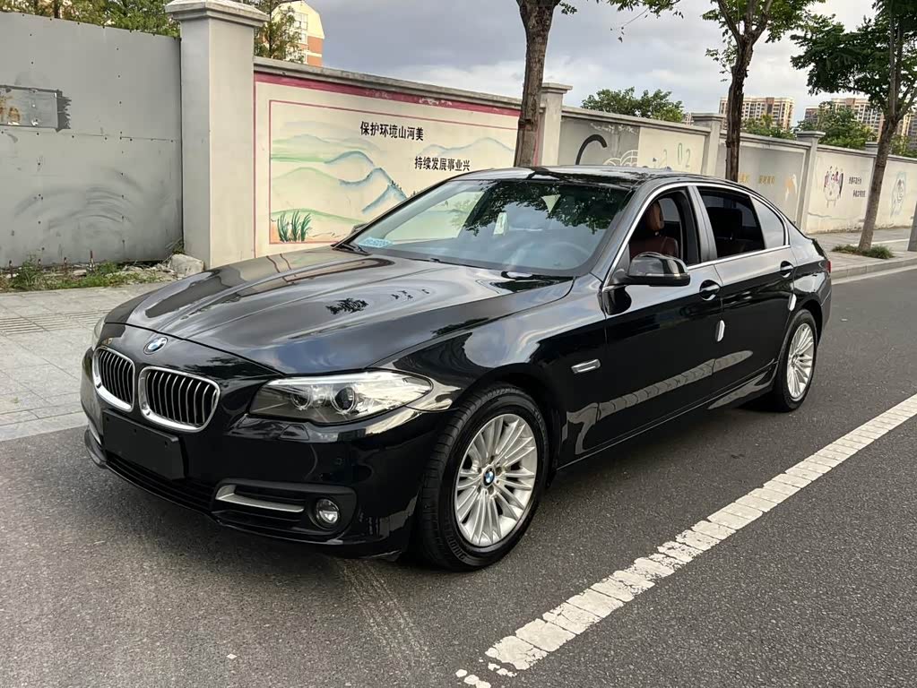 BMW 5 Series 5 2014 525Li Lead