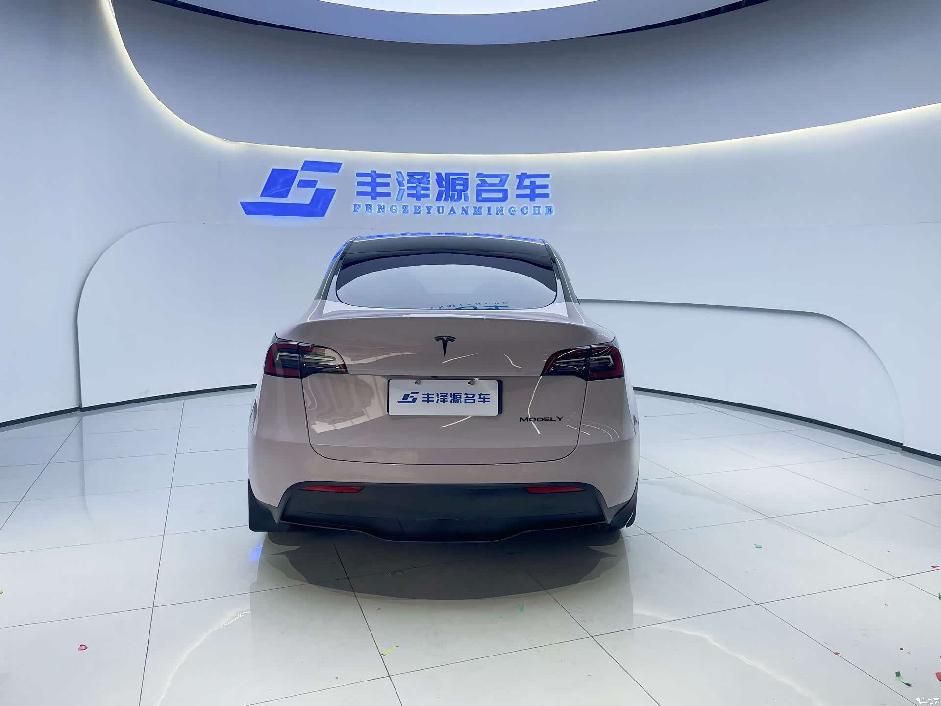 Tesla Model Y, 2022 все фото