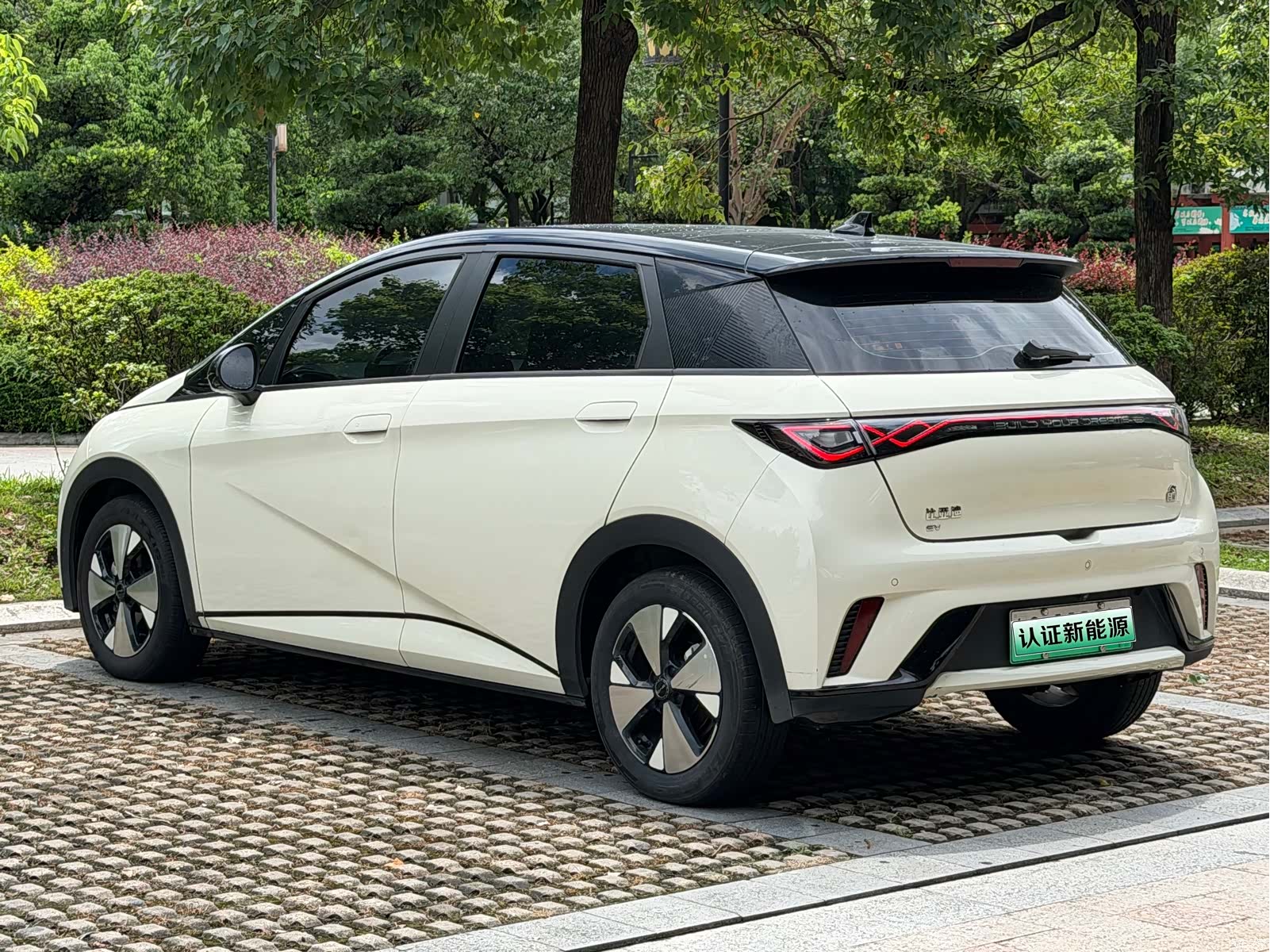 BYD Dolphin, 2024 15