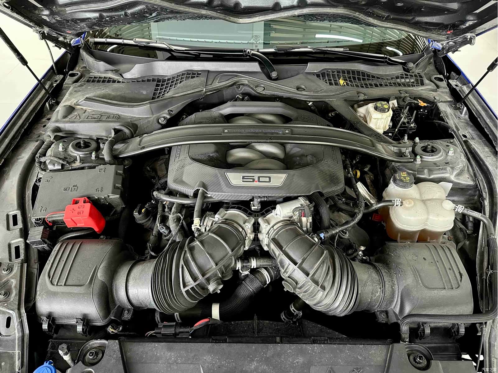 Ford Mustang, 2024 14
