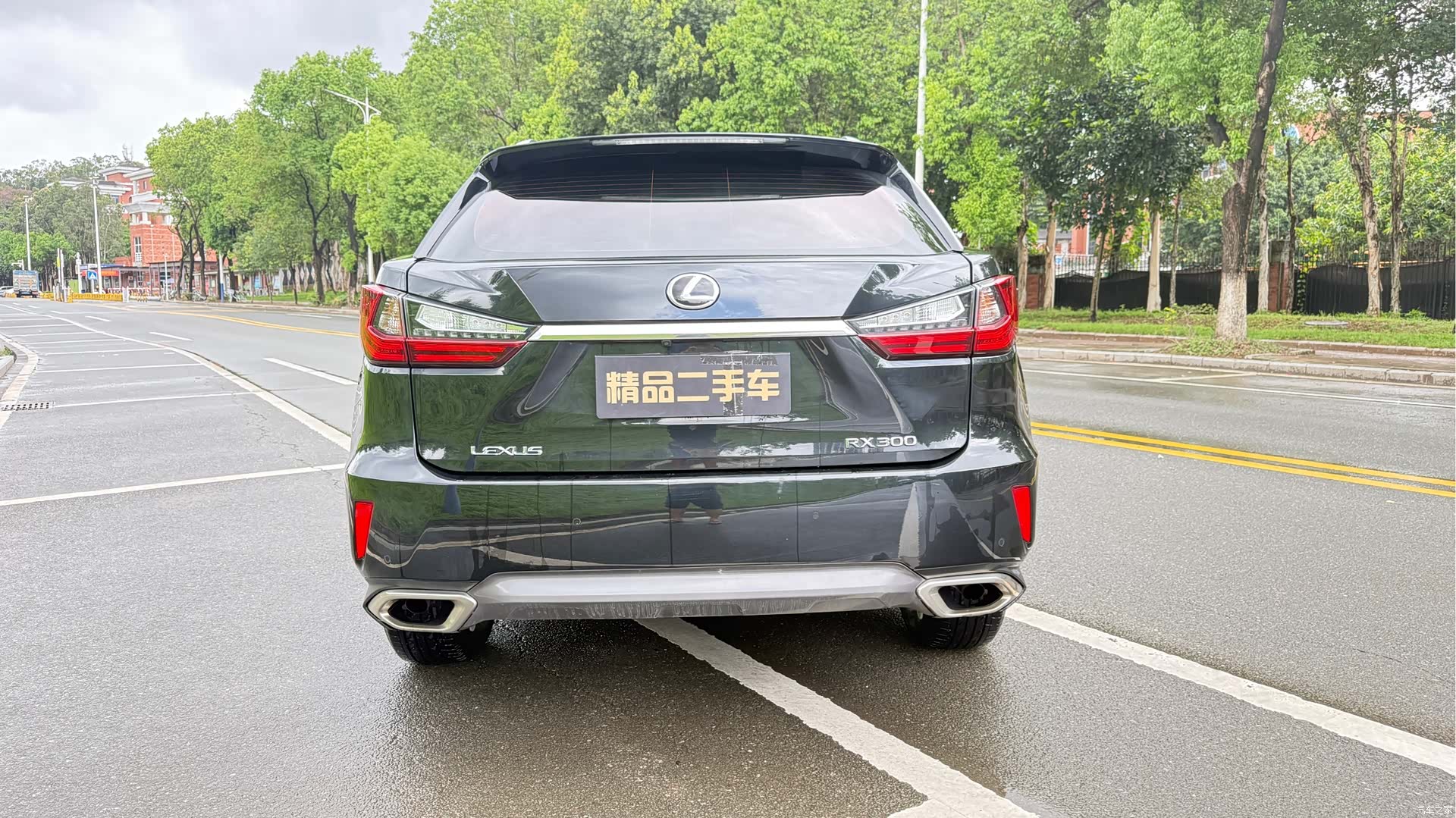 Lexus RX, 2019 4