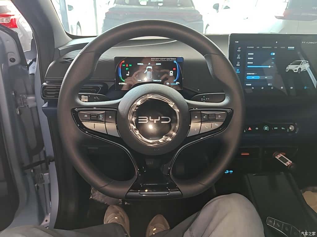 BYD Seagull, 2026 11