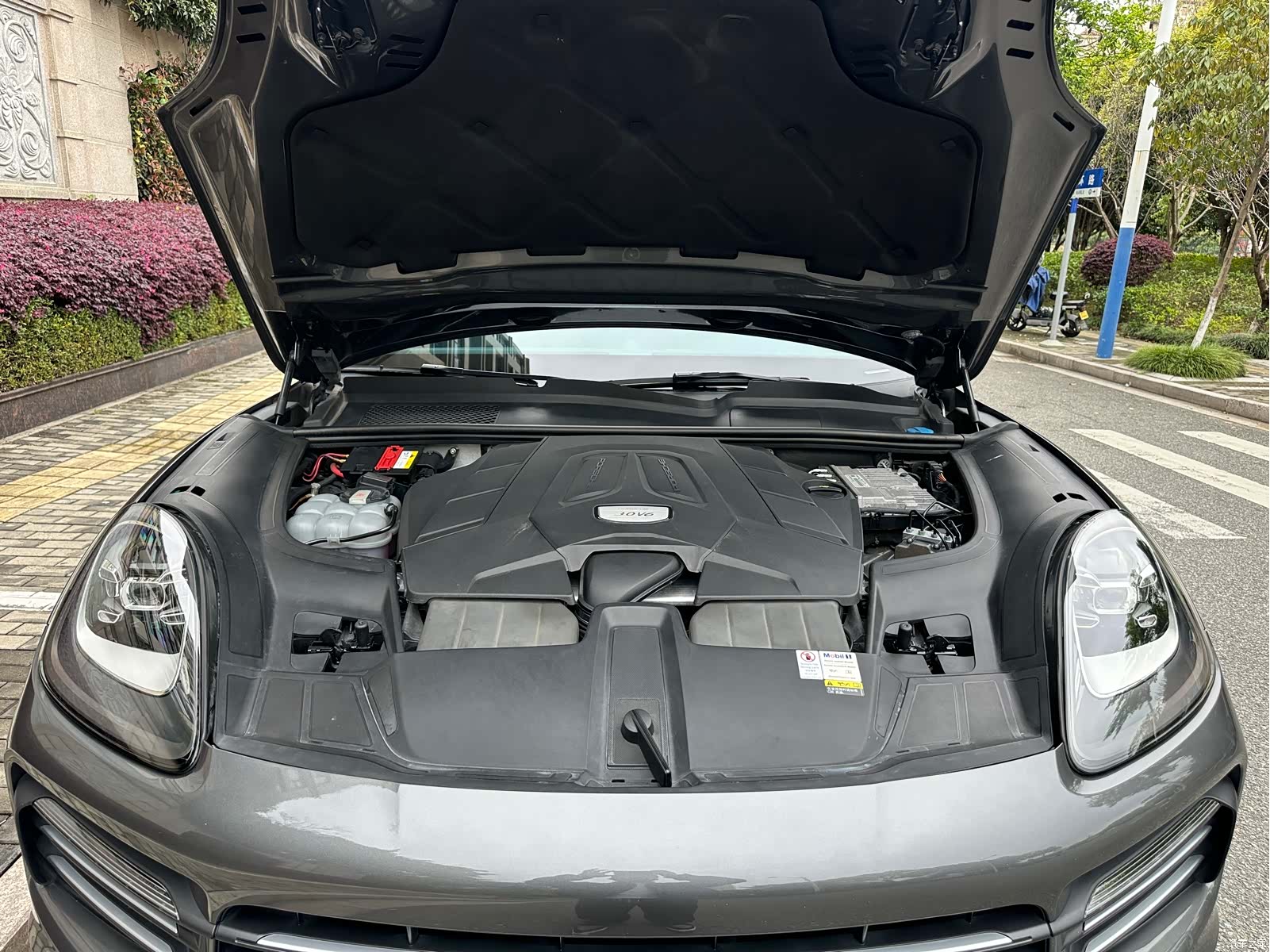 Porsche Cayenne, 2021 13