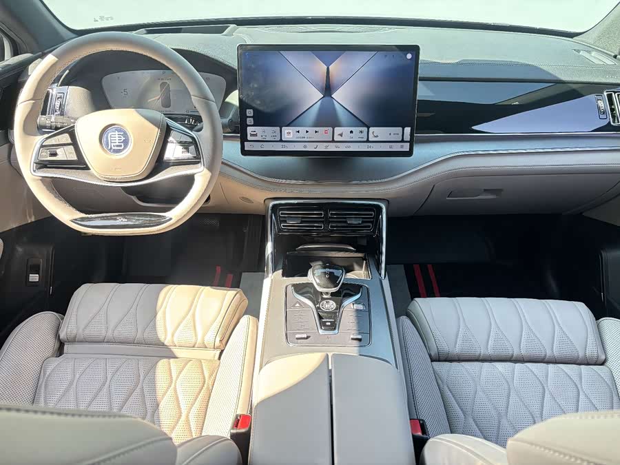 BYD Tang New Energy 2024, фото 12