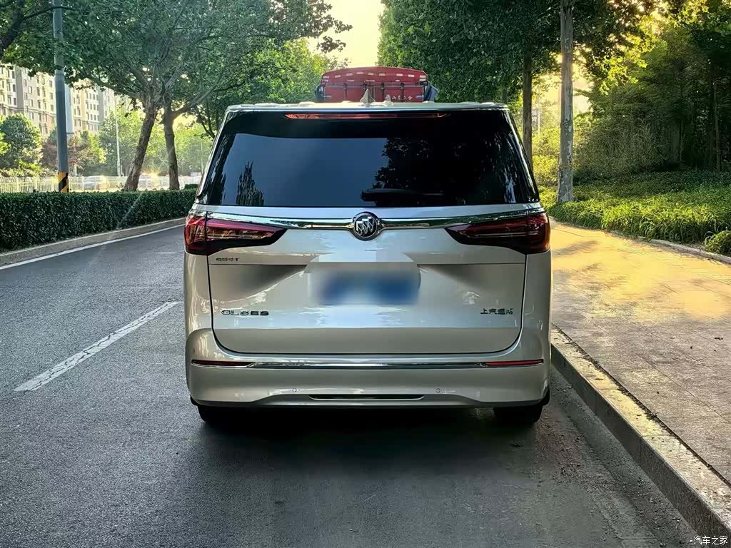 Buick GL8, 2020 все фото