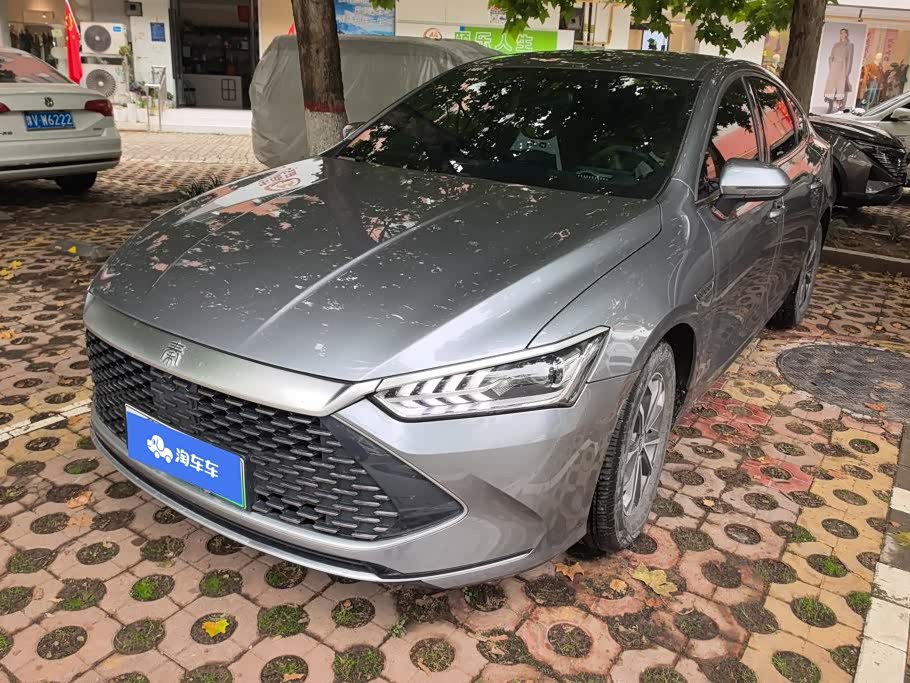 BYD Qin Plus PLUS 2024 DM-i 55KM Lead