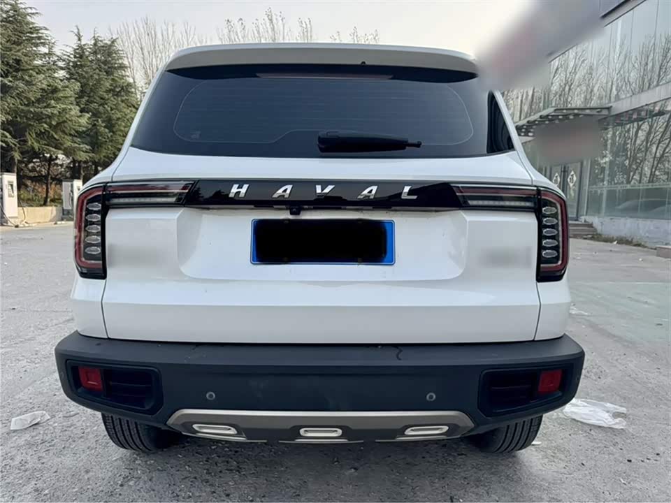 Haval Big dog