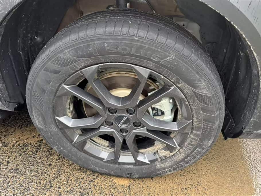 Haval Divine beast Haval Divine beast
