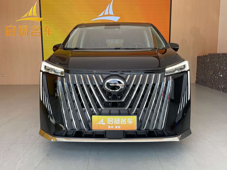 Trumpchi Trumpchi M8