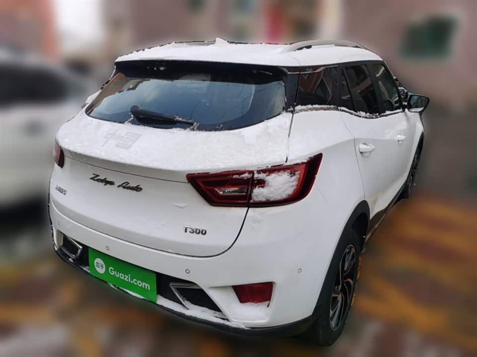 Zotye T300