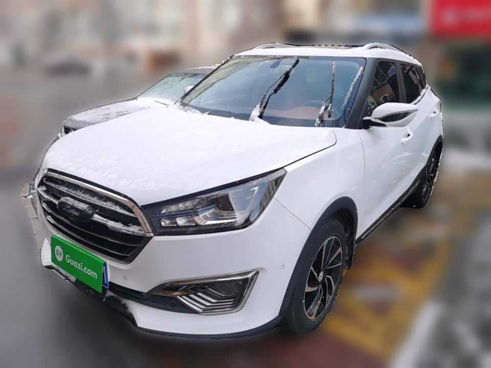 Zotye T300