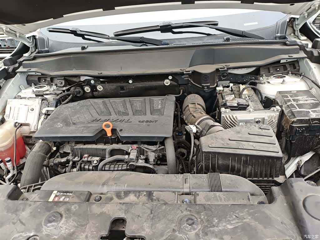 Haval Big Dog, 2021 20