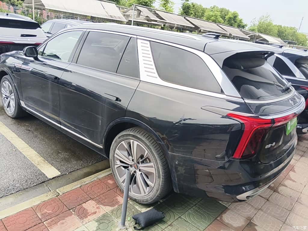 Hongqi E-HS9, 2023 все фото