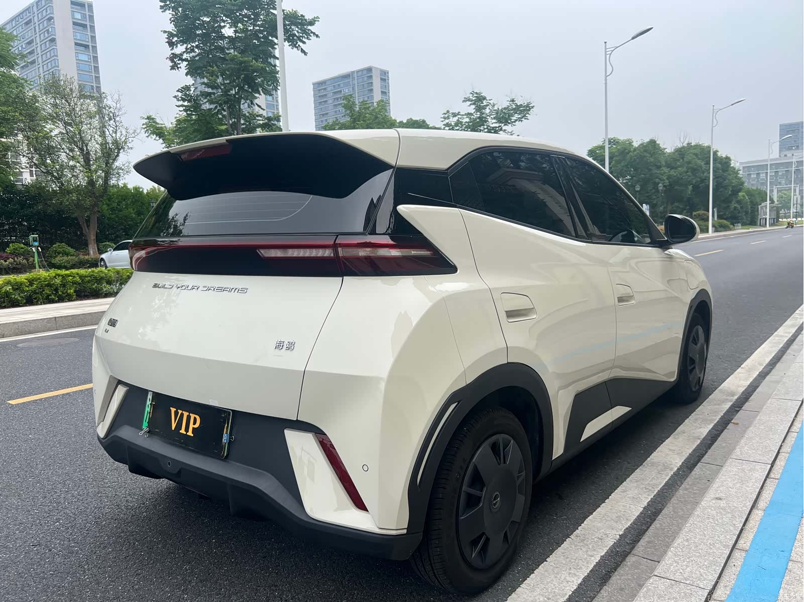 BYD Seagull, 2024 все фото