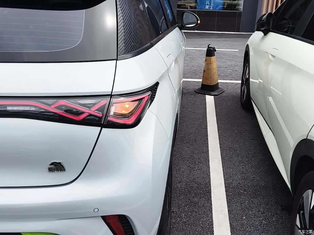 BYD Dolphin, 2022 8