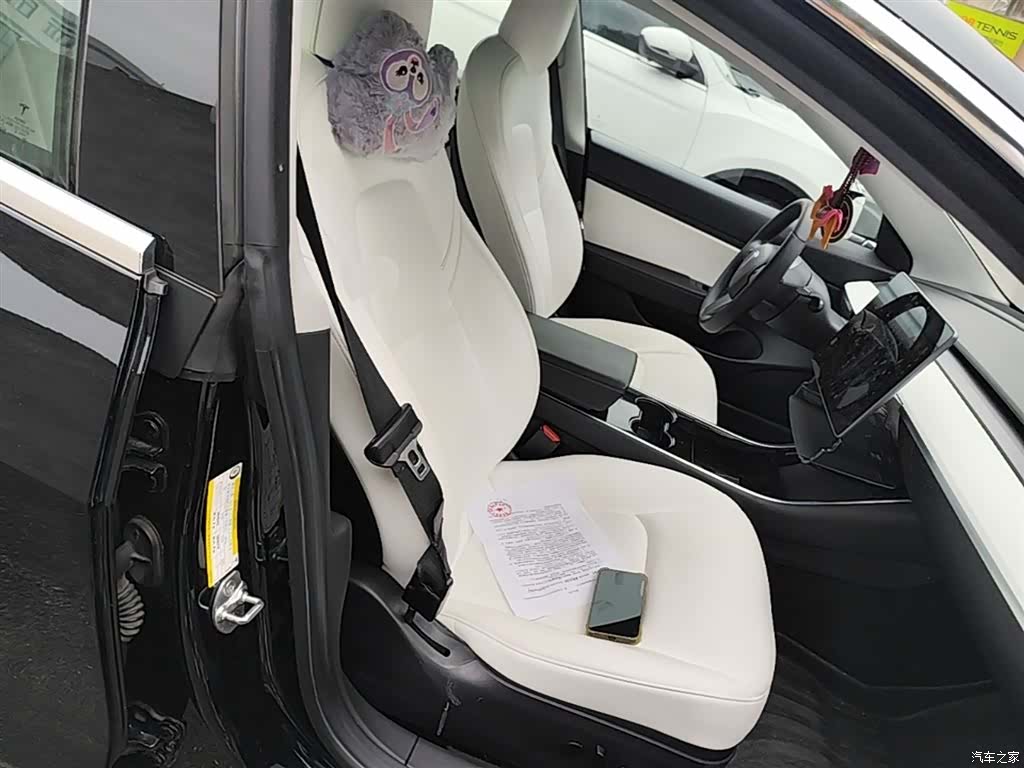 Tesla Model 3, 2020 25