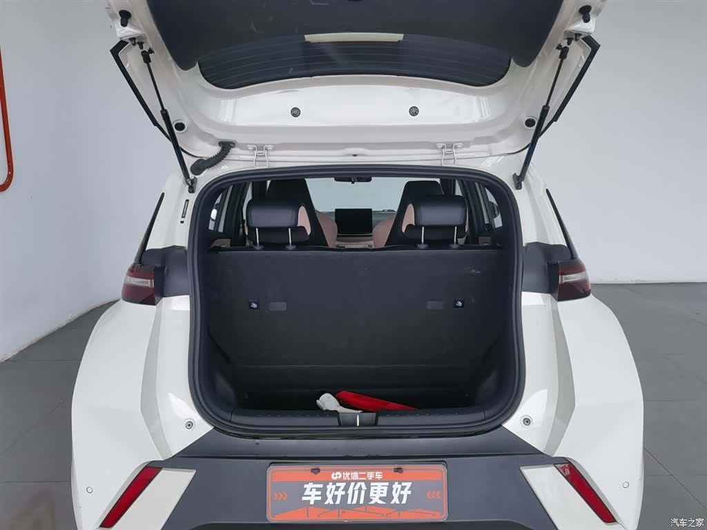 BYD Seagull, 2024 16