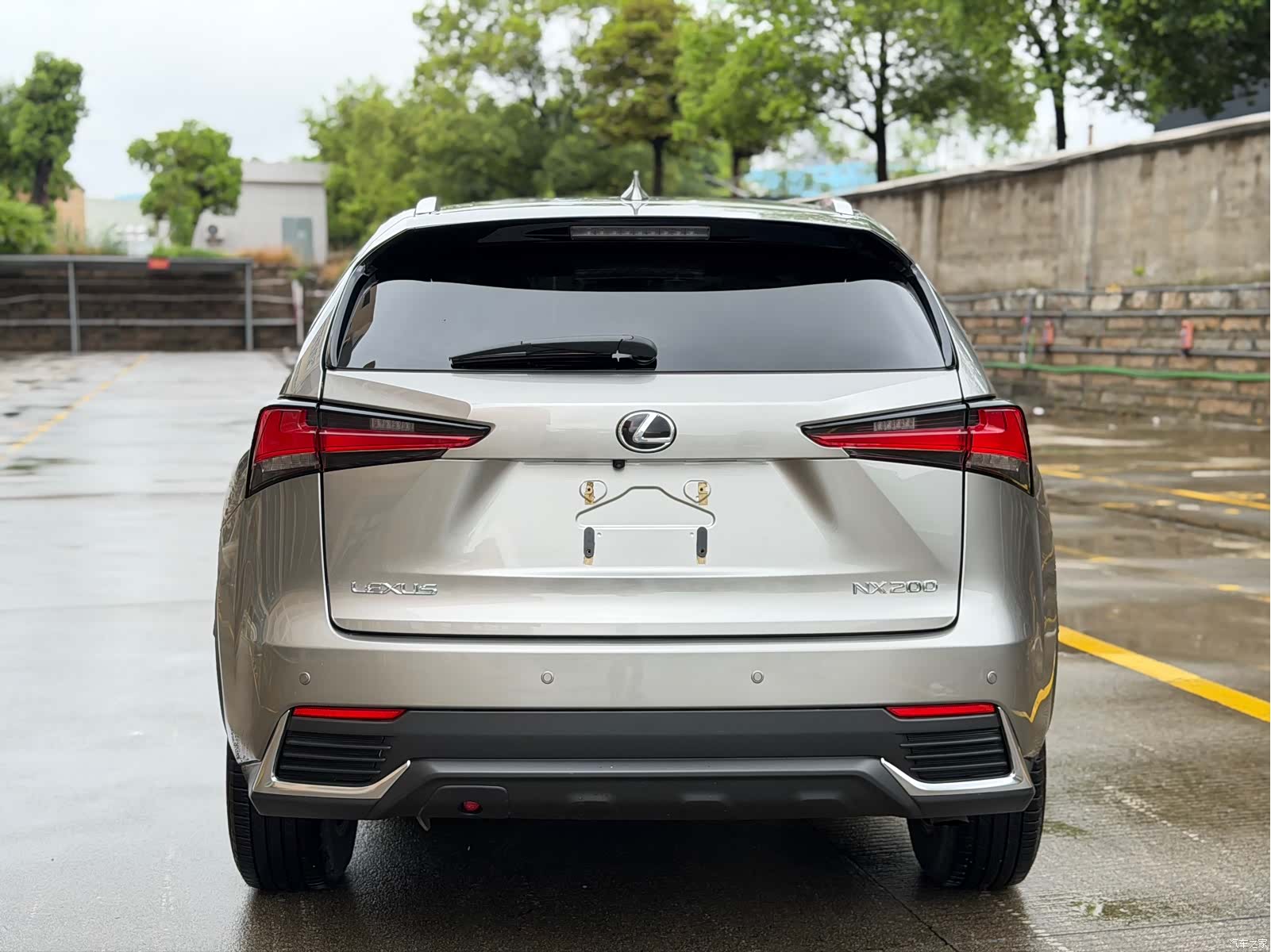 Lexus NX, 2021 все фото