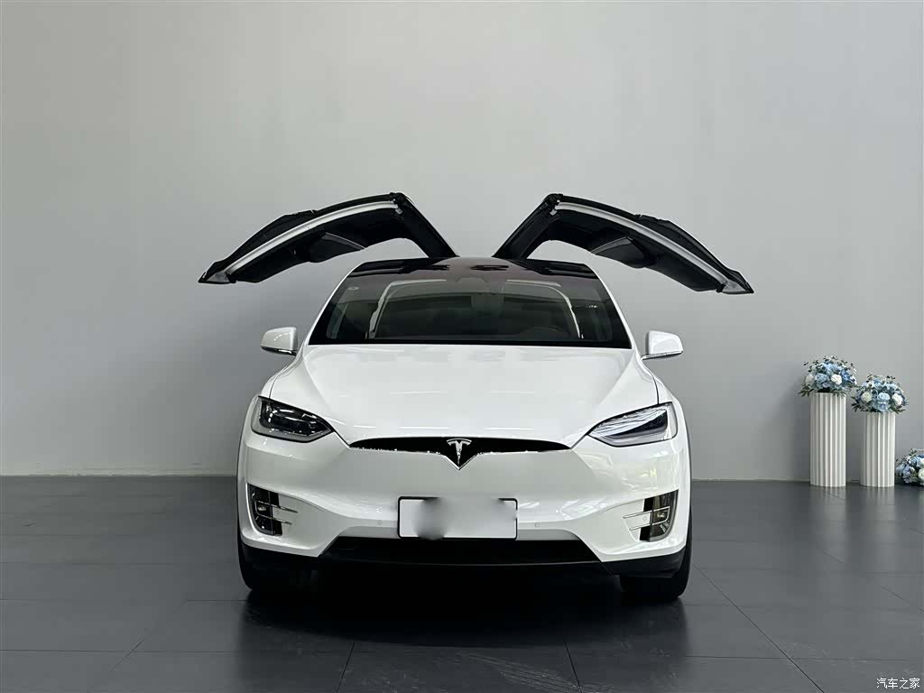 Tesla Model X, 2018 2