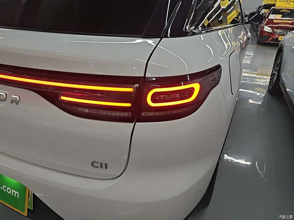 Leapmotor C11, 2024 8