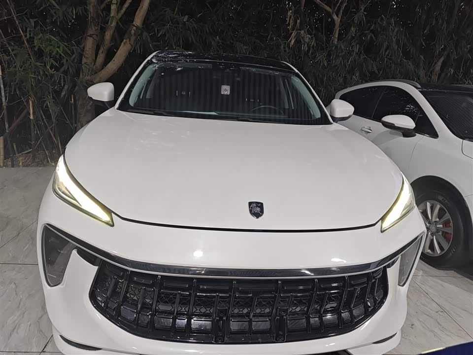 Forthing Popular T5 EVO