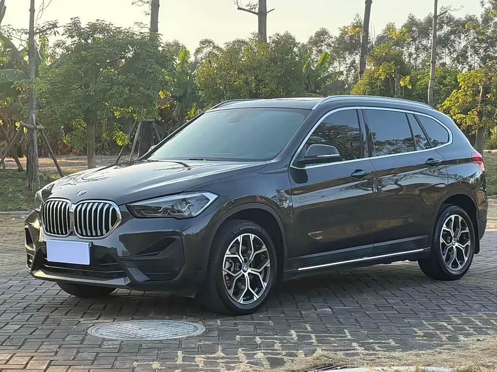 BMW X1 2023 xDrive25Li X