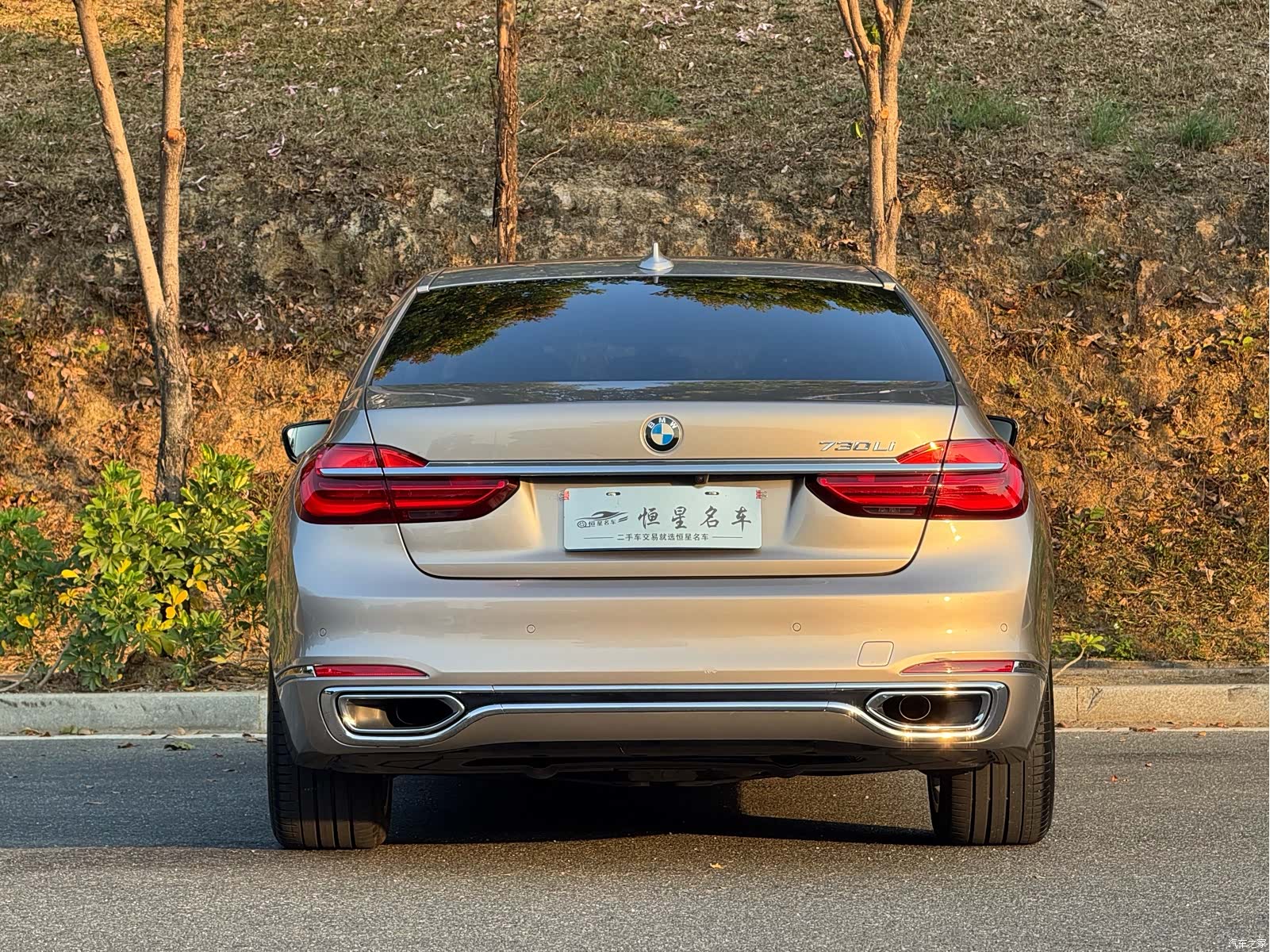 BMW 7 Series, 2018 8
