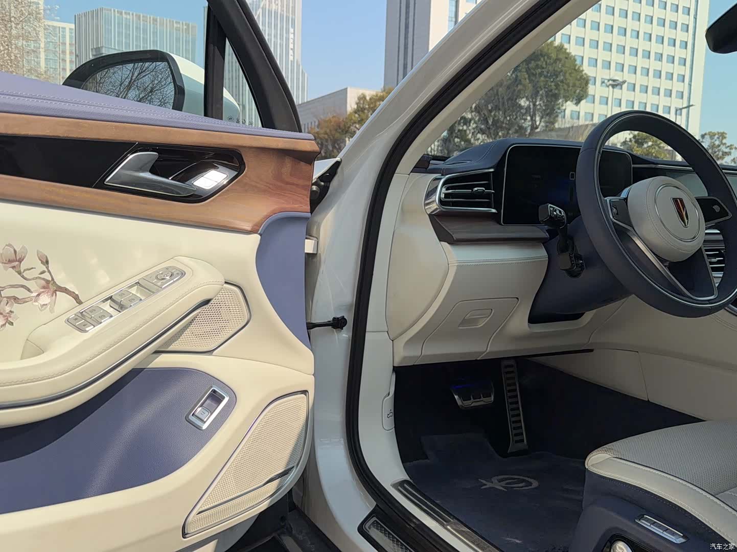 Hongqi H9, 2024 15
