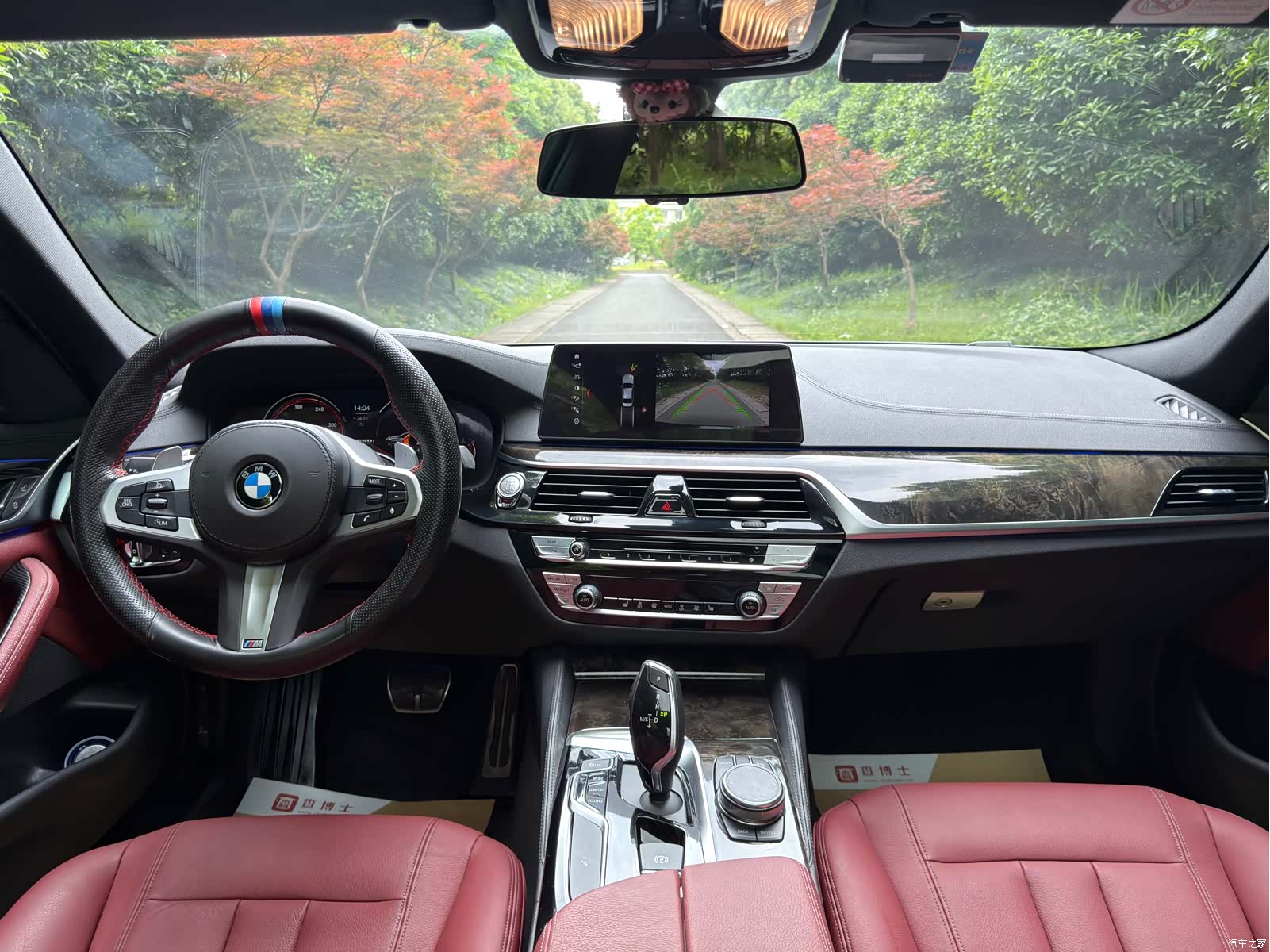 BMW 5 Series, 2018 7