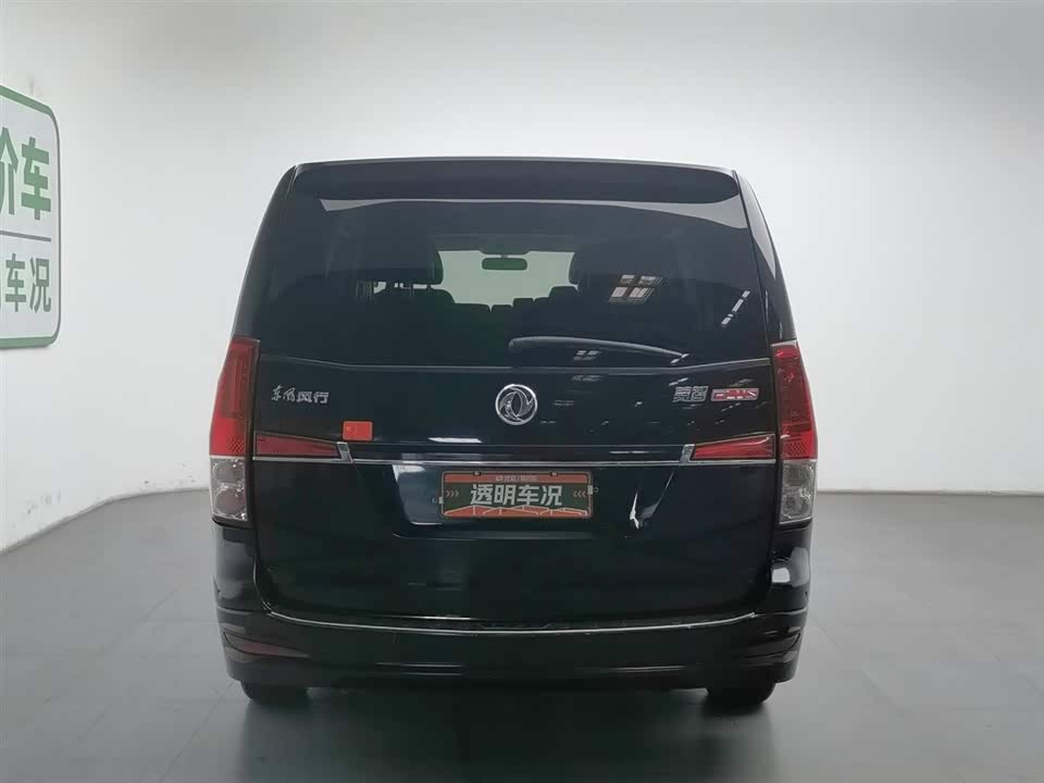 Forthing Lingzhi PLUS