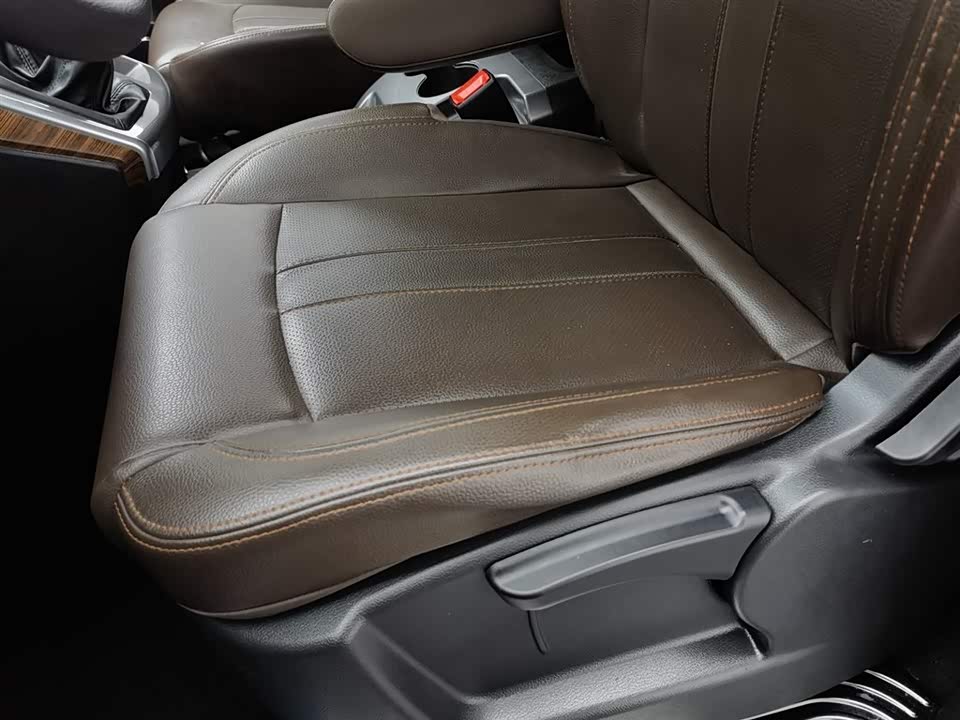 Forthing Lingzhi PLUS