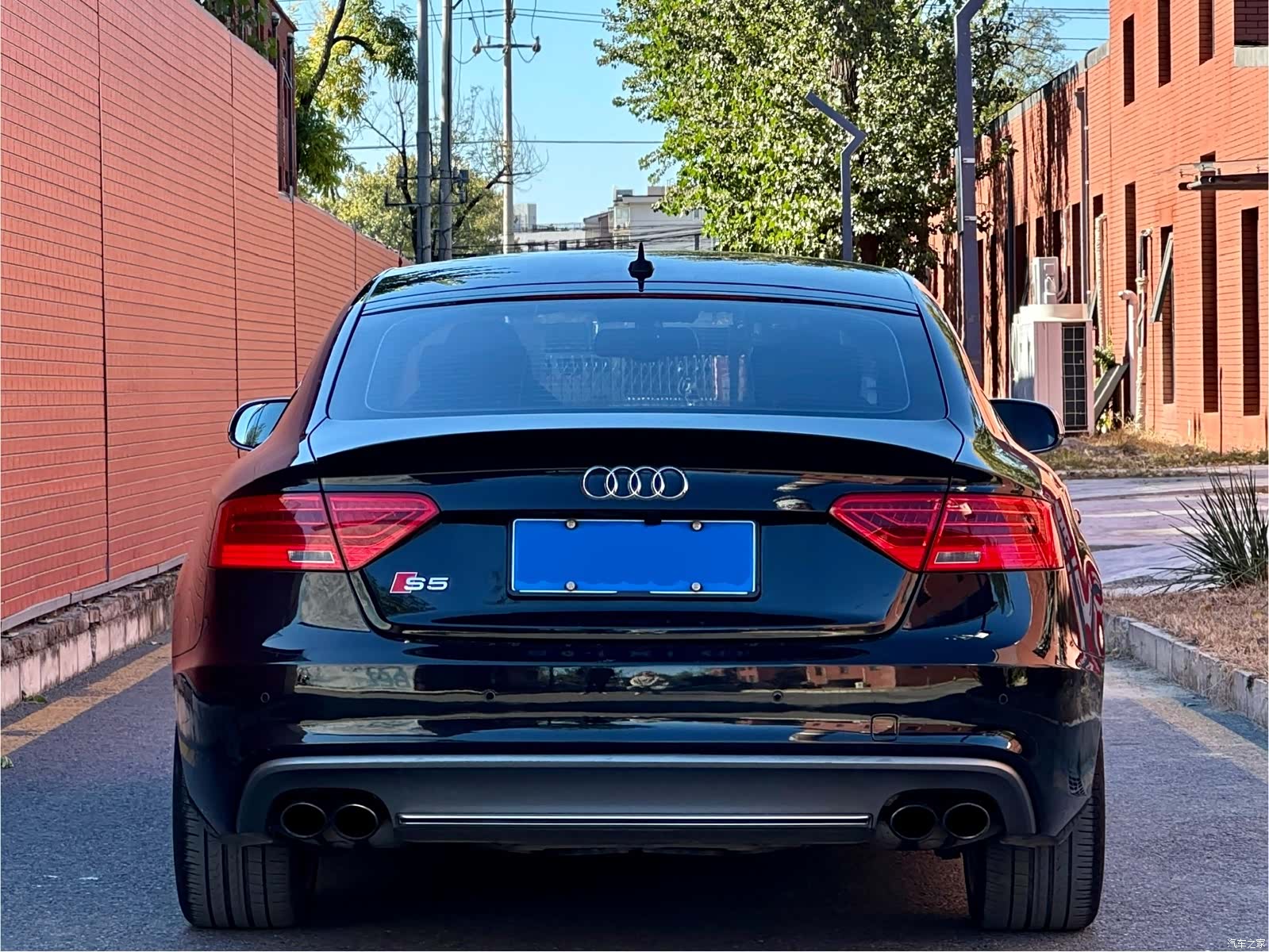 Audi S5, 2015 все фото