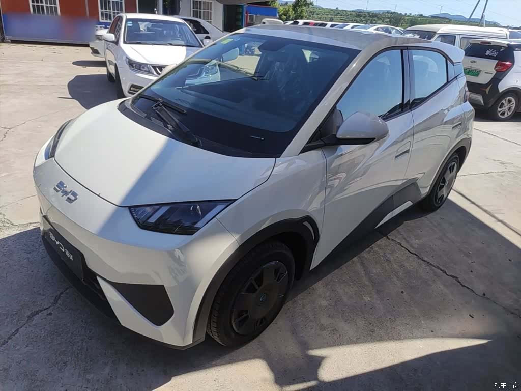 BYD Seagull, 2026 1