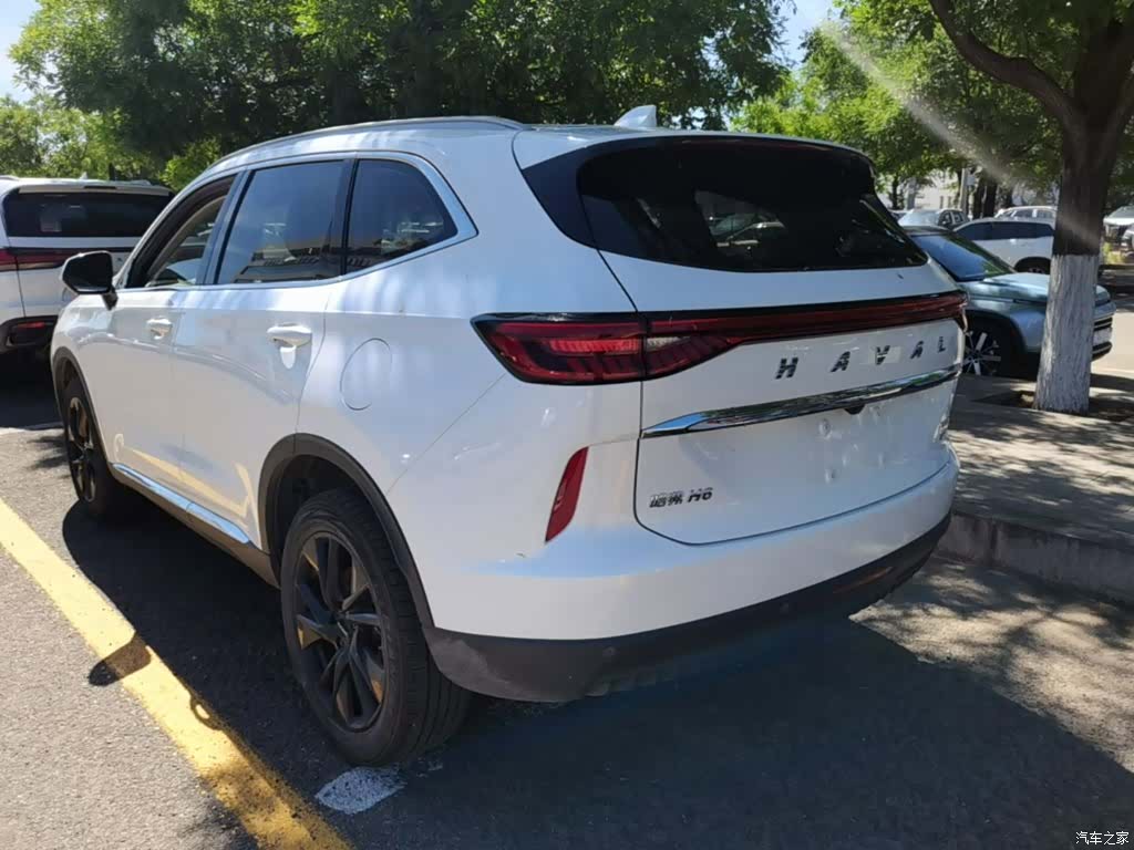 Haval H6, 2022 все фото