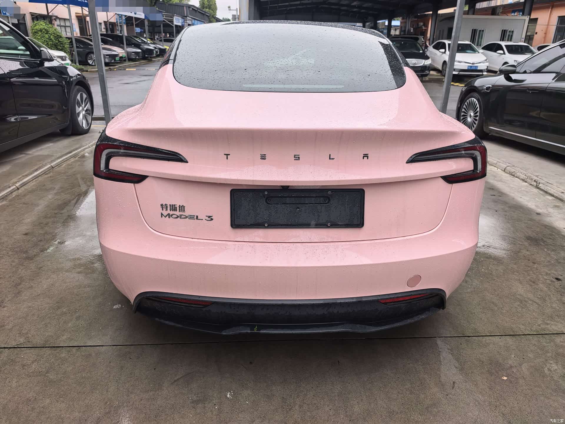 Tesla Model 3, 2024 14