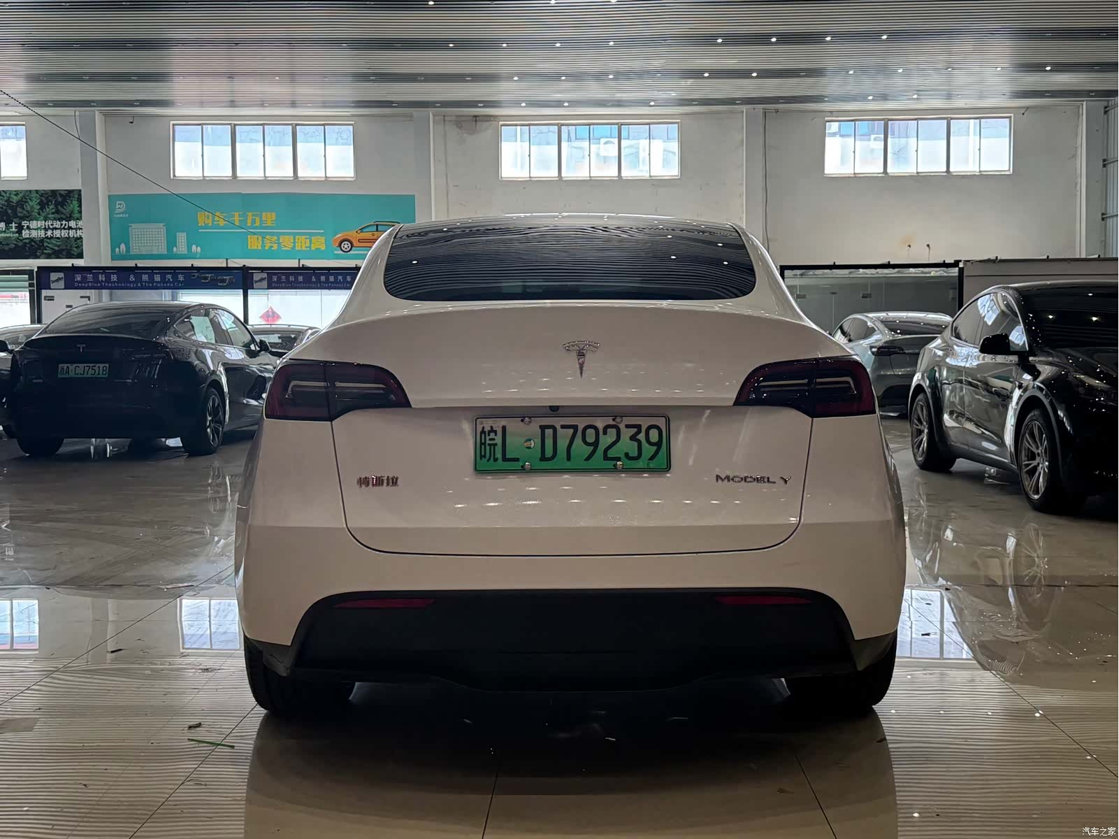 Tesla Model Y, 2023 все фото